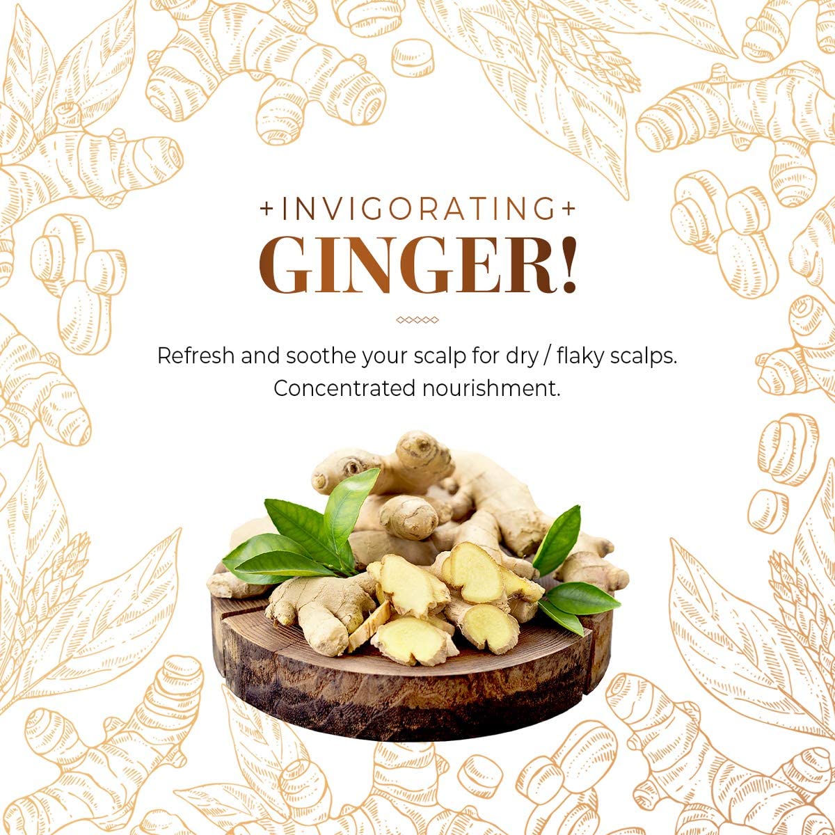 CP-1 Ginger Purifying Conditioner, Repair damaged hair, Scalp care, Recovery Strengthen care, 16.9 fl oz