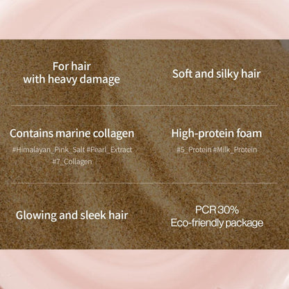 Damage Therapy Shampoo - Salicylic Acid, Niacinamide, Dexpanthenol, Protein, Anti Hair Loss, Free from Paraben and Surfate, Nourishing Shampoo for Frizzy and Damaged Hair (16.9 Fl Oz / 500ml)