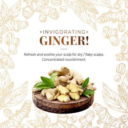 CP-1 Ginger Purifying Conditioner, Repair damaged hair, Scalp care, Recovery Strengthen care, 16.9 fl oz