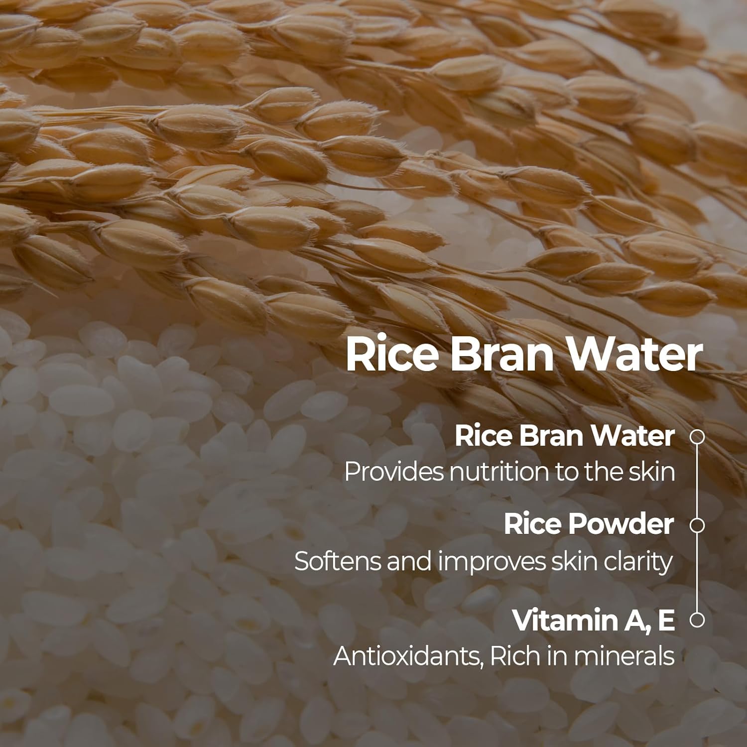 SKINFOOD Rice Mask Wash Off 3.5oz / Gently Exfoliates the Skin/Softening with Nutrient Rich Rice